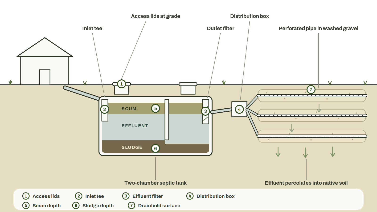Numbered callouts on the septic system cross-section marking the access lids, inlet tee, effluent filter, distribution box, scum depth, sludge depth and drainfield surface.